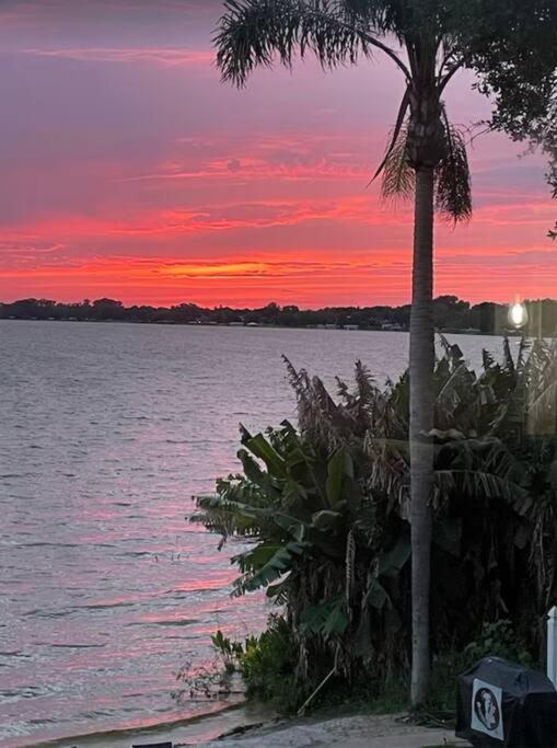 Lakefront Duplex With Pontoon Boat 3 Bed House Mount Dora Exterior foto